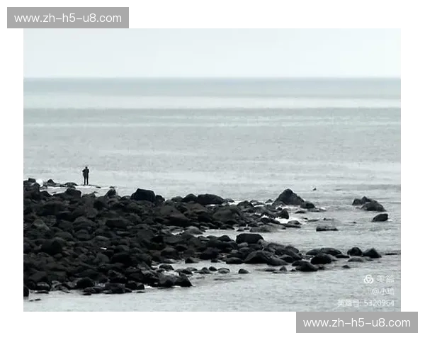 黄金与金色的交响：当澳大利亚的坚韧遇上巴西的灵动，一场跨越半球的终极博弈